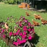 Διαμέρισμα La Moixardina