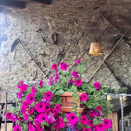 La Moixardina Ardanué