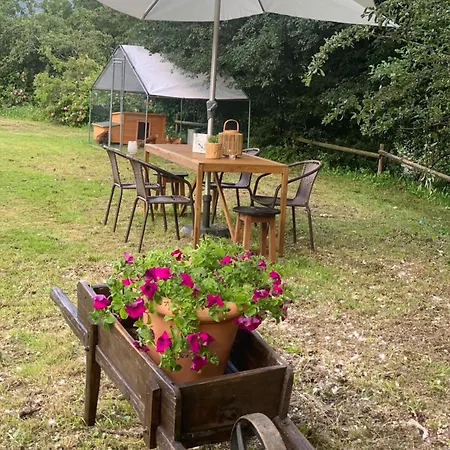 La Moixardina *