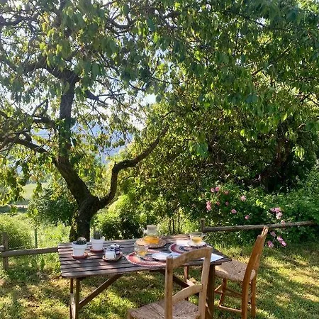 La Moixardina Ardanué