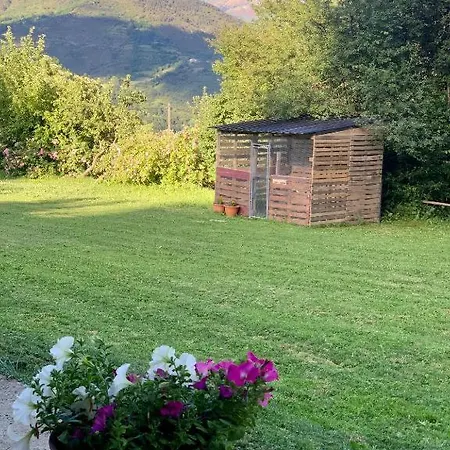 La Moixardina
