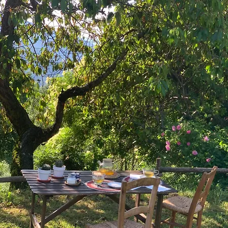 La Moixardina * Ardanué