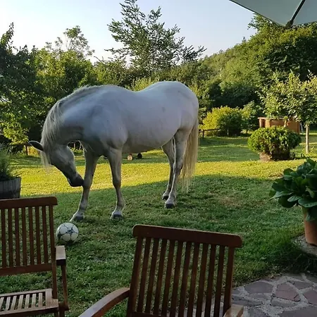 La Moixardina *